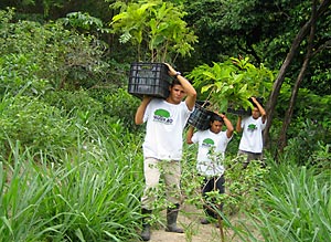 Citizens of Morro da Formiga lead the reforestation project to replant and preserve the existing rainforest on the edge of their settlement. 