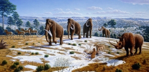 The massive Quaternary extinction event eliminated many species of Megafauna like mammoths