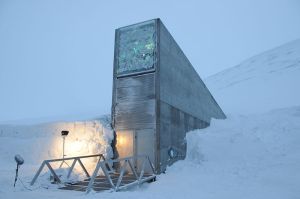 The Svalbard seed bank in Norway stores seeds indefinitely for future necessity
