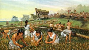 Hunter-gatherer and farming societies were around for thousands of years before the green revolution created industrial agriculture.